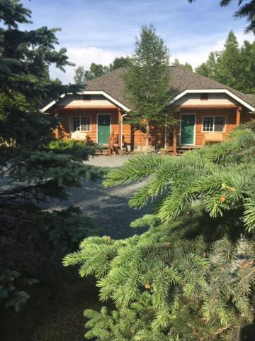 Denali Fireside Cabin & Suites Talkeetna Exterior foto